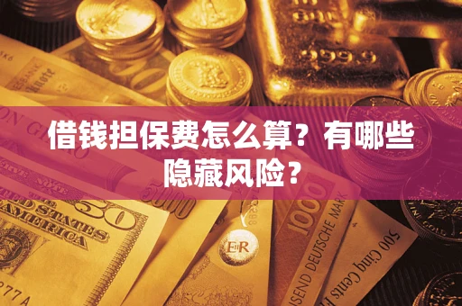 武汉借钱担保费怎么算？有哪些隐藏风险？