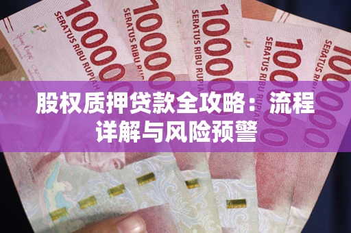 武汉股权质押贷款全攻略：流程详解与风险预警