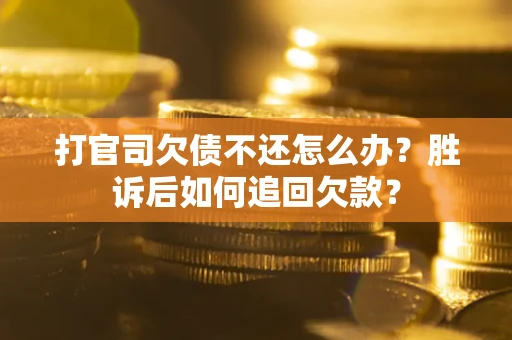 武汉打官司欠债不还怎么办？胜诉后如何追回欠款？