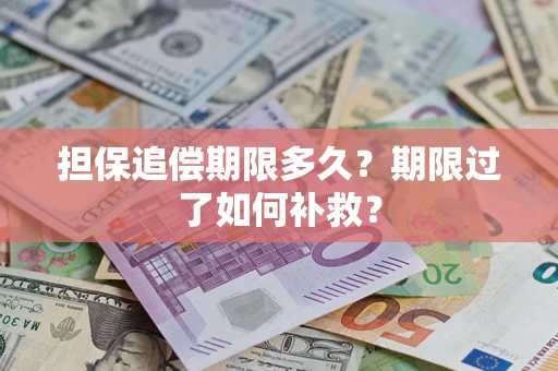 武汉担保追偿期限多久？期限过了如何补救？
