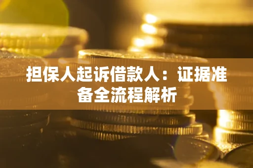 武汉担保人起诉借款人：证据准备全流程解析