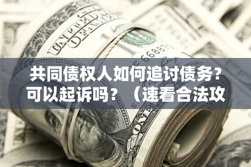 武汉共同债权人如何追讨债务？可以起诉吗？（速看合法攻略）
