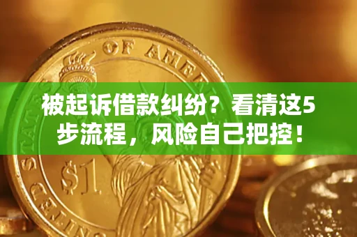 武汉被起诉借款纠纷？看清这5步流程，风险自己把控！