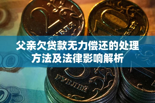 武汉父亲欠贷款无力偿还的处理方法及法律影响解析