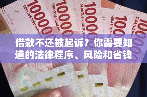 武汉借款不还被起诉？你需要知道的法律程序、风险和省钱技巧