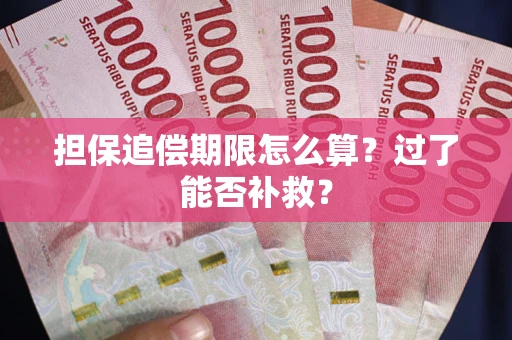 武汉担保追偿期限怎么算？过了能否补救？